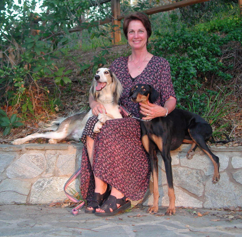 SharonBartosh Kinney+Buster+Callie - champion salukis (hounds)